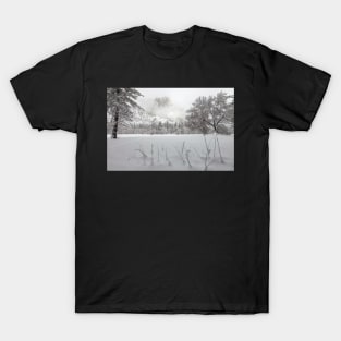 Winter T-Shirt